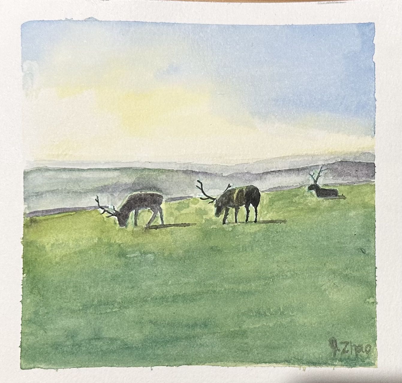 CUSTOM WATERCOLOR PAINTING: LANDSCAPE, HOUSES, FLOWERS, SILHOUETTE FOR BIRTHDAY, ANNIVERSARY, HOLIDAY, GRADUATION CELEBRATION - ARTIST: J. ZHAO