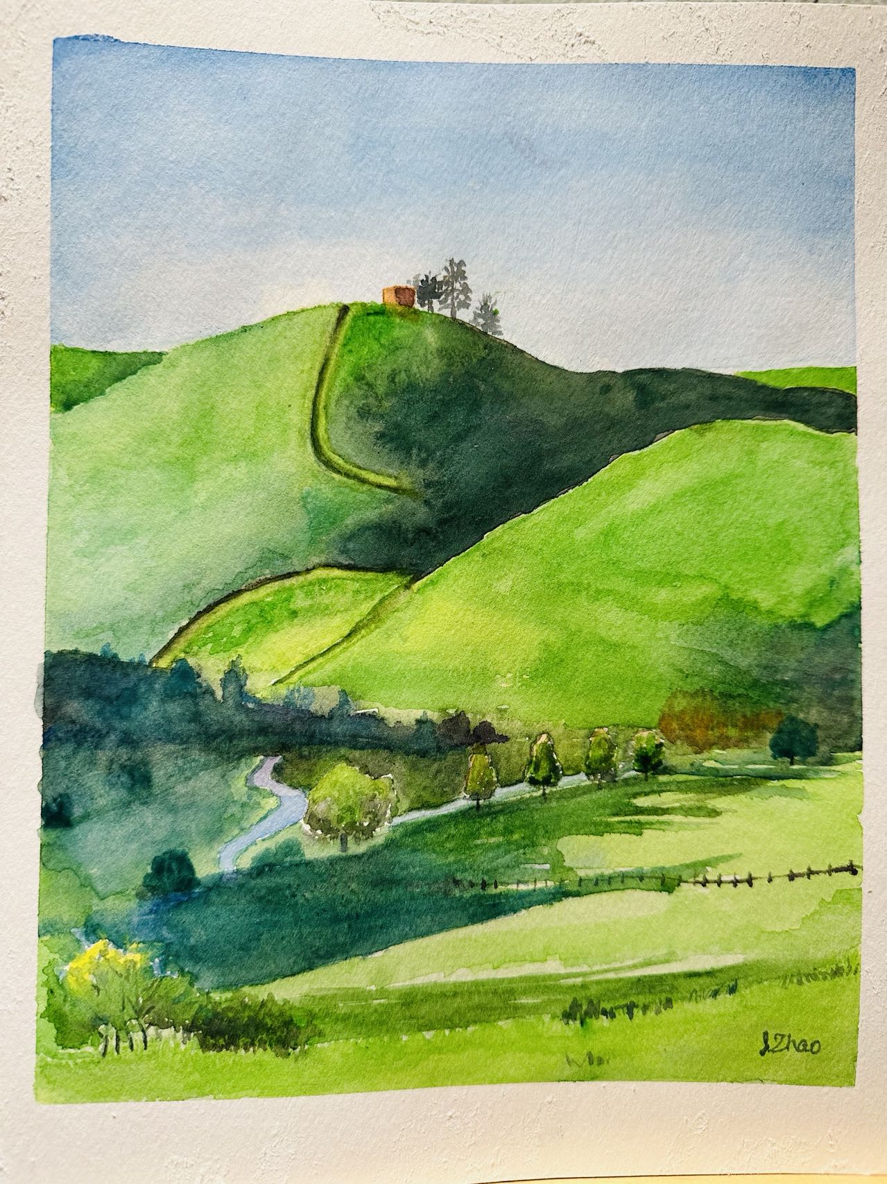 CUSTOM WATERCOLOR PAINTING: LANDSCAPE, HOUSES, FLOWERS, SILHOUETTE FOR BIRTHDAY, ANNIVERSARY, HOLIDAY, GRADUATION CELEBRATION - ARTIST: J. ZHAO